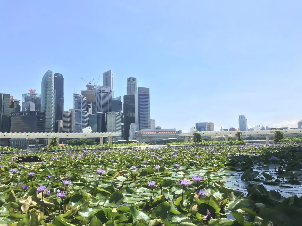 シンガポールの風景